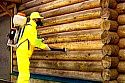 Как спасти свой деревянный дом от воздействия плесени